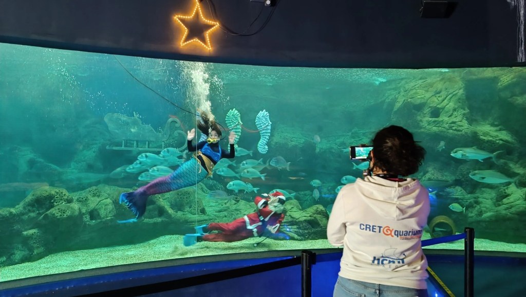 Χριστουγεννιάτικη γιορτή από την Περιφέρεια Κρήτης και το CretAquarium για παιδιά που νοσηλεύονται σε νοσοκομεία της&nbsp;Κρήτης
